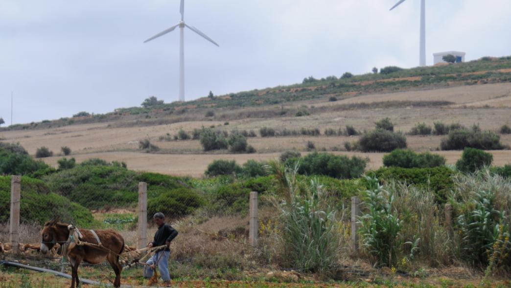 Wind turbines behind farmer in Tunisia