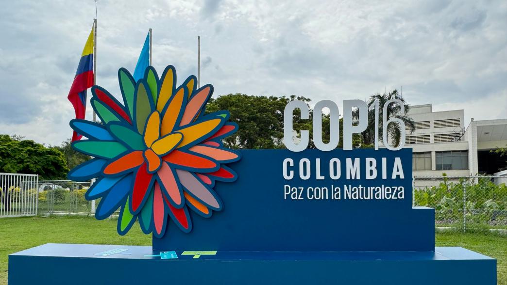 COP16 Cali, Colombia