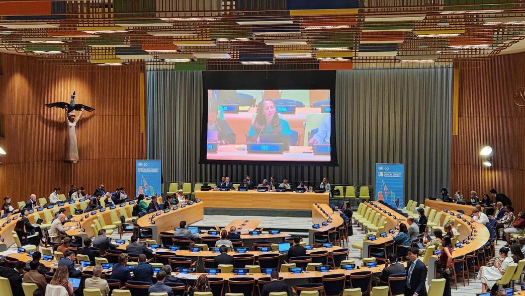 Suneeta speaking at the UN
