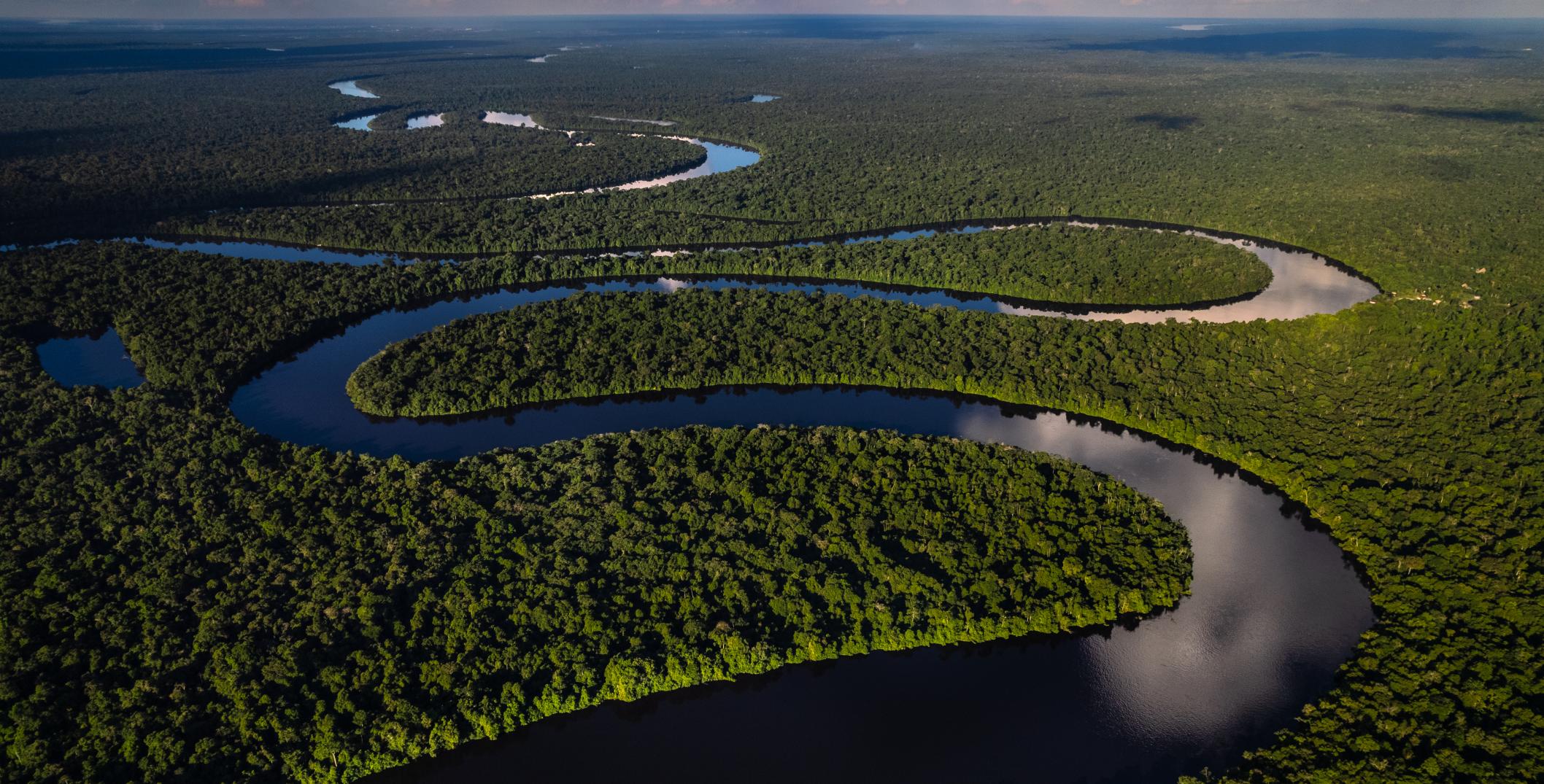 Vista aérea de la Amazonía, Perú. Diego Pérez_NRGI