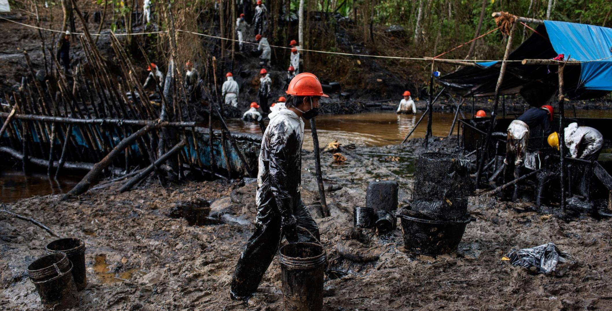 Workers clean up an oil spill in a forested region