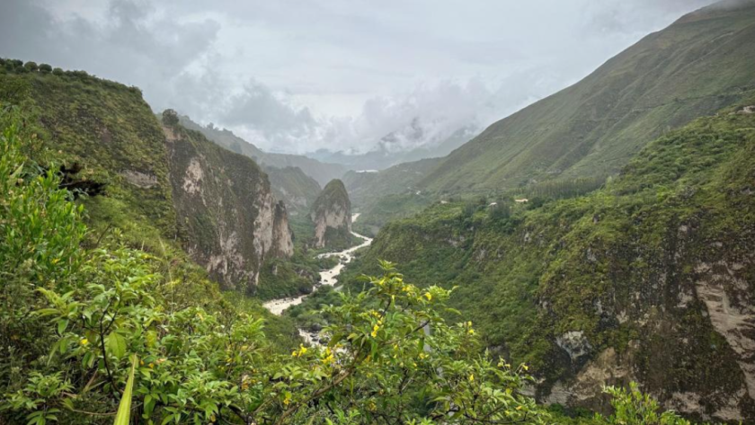 valley with a river