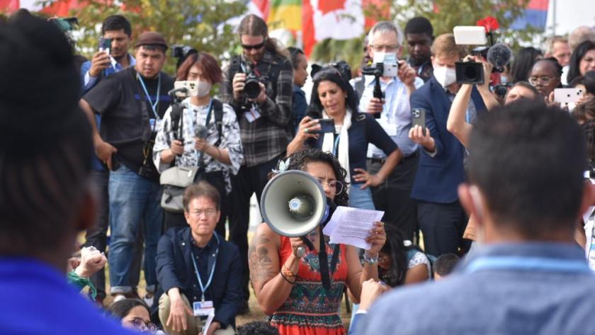 protest cop27 image