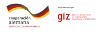 GIZ logos