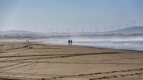 Wind turbines beach in Morocco