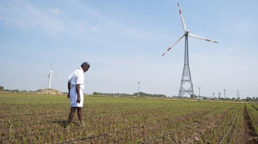 Man in the rice fields with wind turbine in the background, India