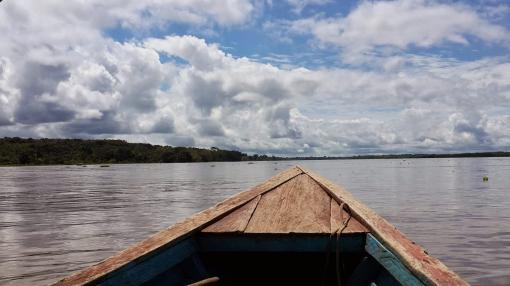 Punto de no retorno en la Amazonía Andina