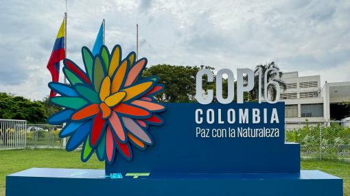 COP16 Cali, Colombia