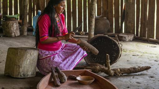 Mujer amazónica reparando los alimentos