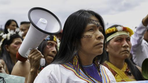 Indigenous Peoples protesting