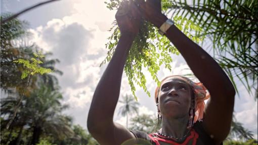 Woman reaching for a branch