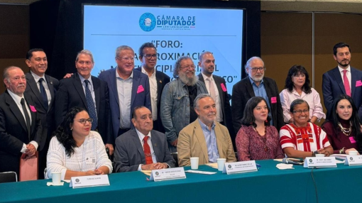 Foto: Cámara de diputados