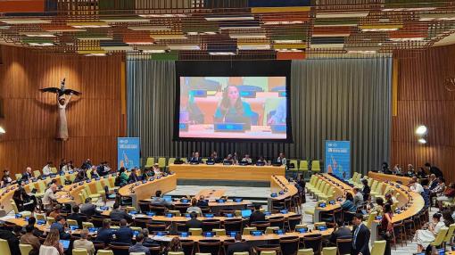 Suneeta speaking at the UN