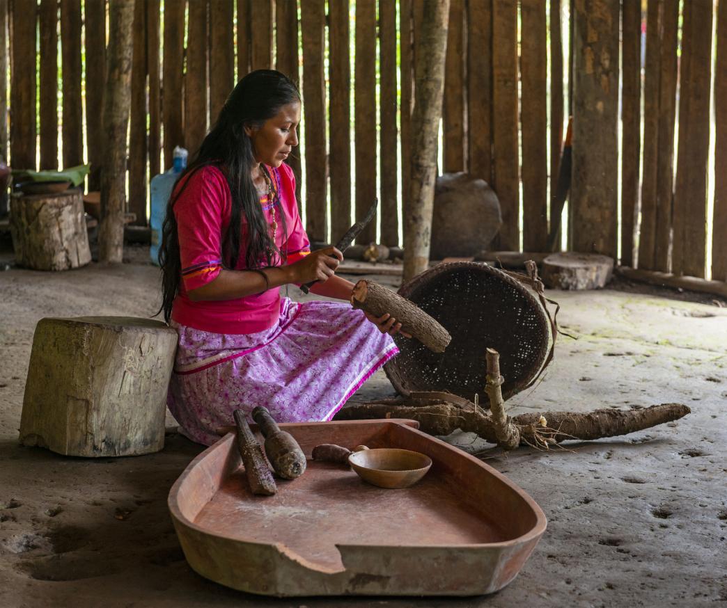 A young Indigenous Kichwa woman prepares chicha, a traditional drink made from cassava in Yasuni National Park, Ecuador, an area rich in biodiversity but threatened by mining and oil extraction that impact local communities and their cultural practices.