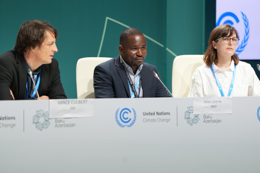Denis at COP29 presser