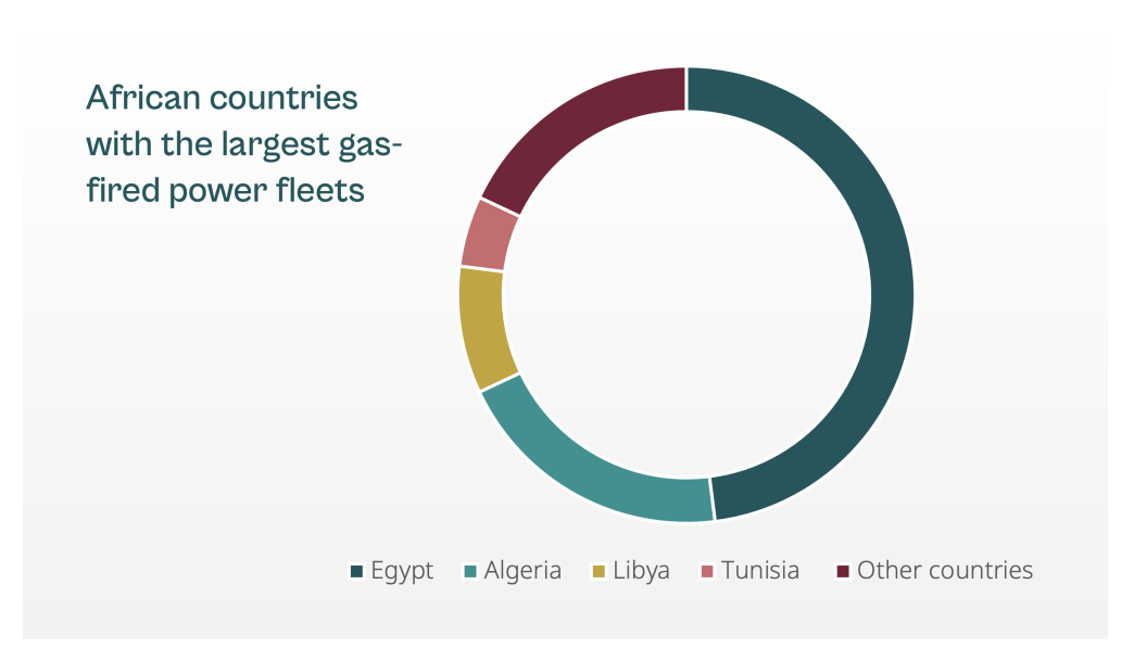 African countries with the largest gas-fired power fleets