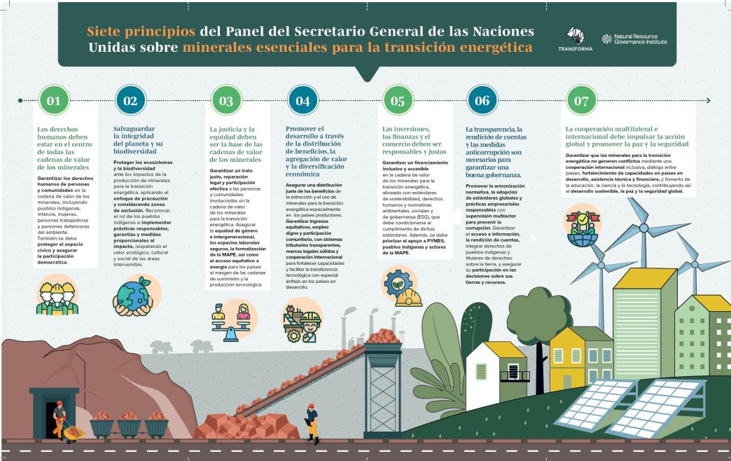 Principios_Panel del Secretario General ONU