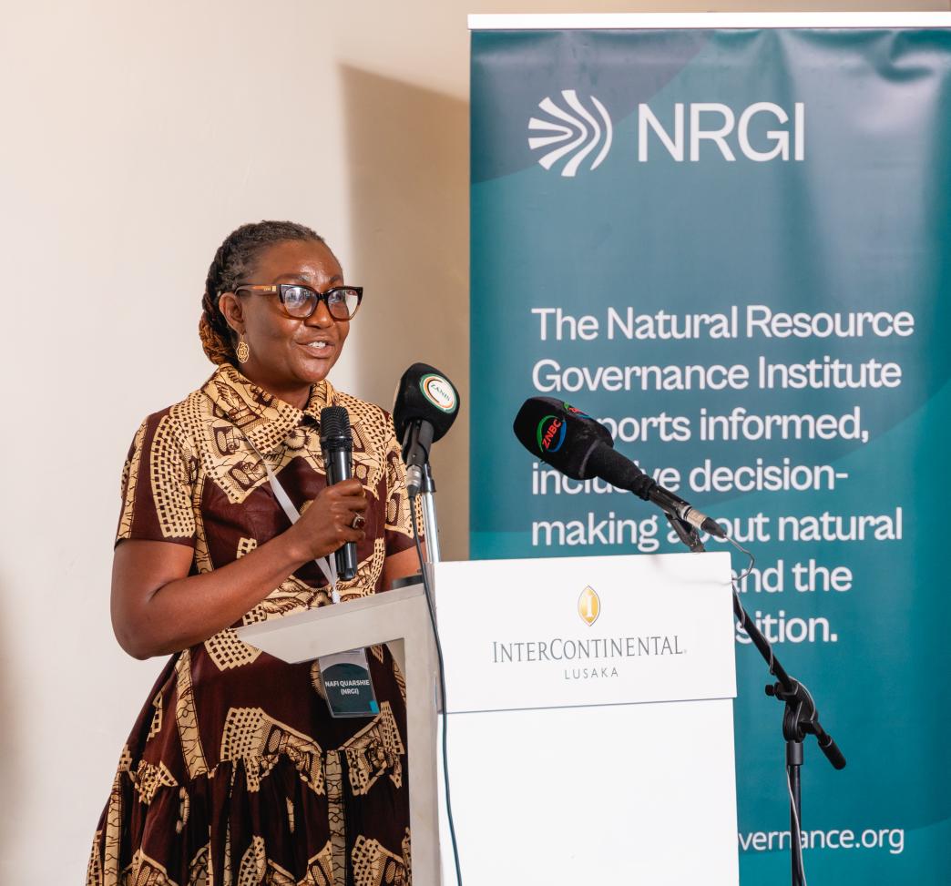 Zambia multistakeholder dialogue
